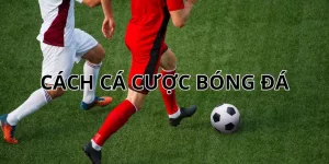 các cược bóng đá